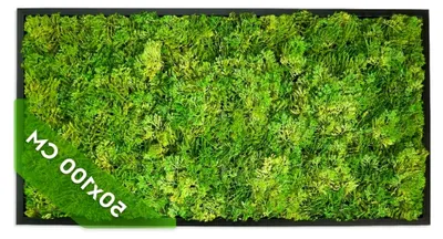 Produktbild von Künstliche Pflanzenwand Moosbild XXL, Moosbild mit Rahmen Kunststoff Schwarz 50x100 cm, pflegeleicht und langlebig, Mooswand für Innen- und Außenbereich, Pflanzenbild, Greenwall