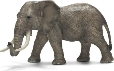 Obrázek produktu pro Africký slon Schleich