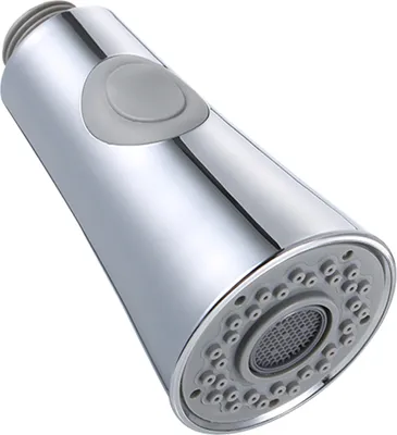 A close-up studio shot of a chrome-plated faucet spray head.