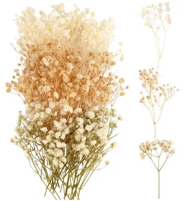 100 getrocknete Schleierkrautblüten, Natur-Trockenblumen, DIY, 11-13 cm