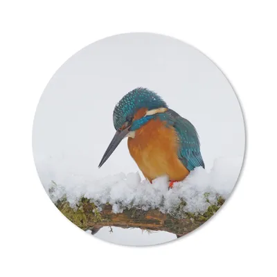 Produktbild von MuchoWow® Mauspad Mousepad Eisvogel - Schnee - Winter 50x50 cm - Mousepads - Maus Mat - Pad - Mausunterlage - Vinyl