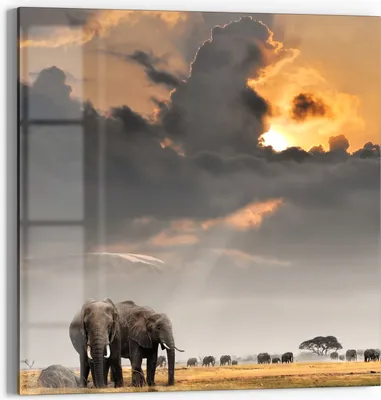 Produktbild von DEQORI Glasbild Echtglas 30x30 cm 'Savannen Dämmerung' Wandbild Bild modern Deko