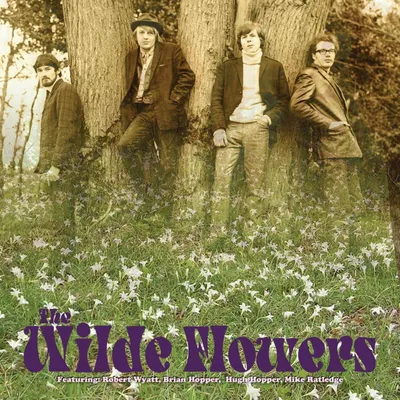 Obrázek produktu pro The Wilde Flowers: The Wilde Flowers (Limited Edition) (Clear Vinyl)