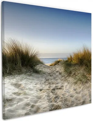 Produktbild von Wallario Premium Leinwandbild Weg durch die Dünen zum Strand am Meer in Größe 50 x 50 cm