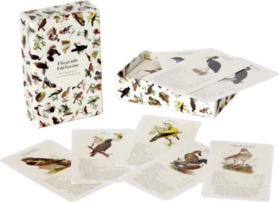 Produktbild von dobar Vogelquartett "Fliegende Edelsteine", 56 Spielkarten mit QR-Codes zu Vogelstimmen-Sounds