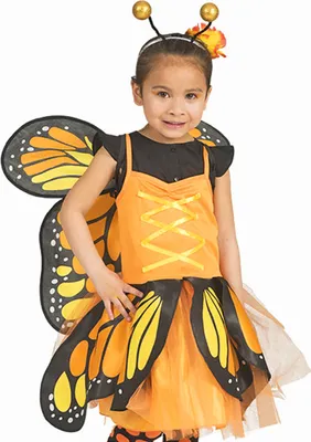 Produktbild von Schmetterling "Belle" Kostüm für Mädchen | Orange Alter: 3-5 Jahre