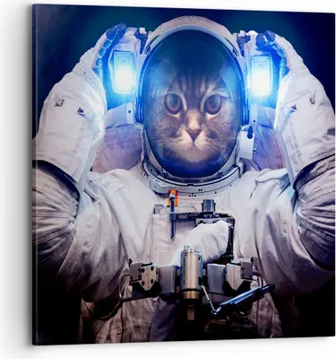 Produktbild von Bild auf Leinwand - Leinwandbild - Kosmonaut Katze - 70x70cm - Wand Bild - Wanddeko - Wandbilder - Leinwanddruck - Bilder - Kunstdruck - Wanddekoration - Leinwand bilder - Wandkunst - AC70x70-3734