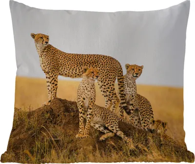 Produktbild von MuchoWow® Outdoor Kissen - Gepard - Gras - Natur - Savanne - 50x50 cm - Wetterfest - Lounge Kissen - Komfortabel - Kissen mit Bild
