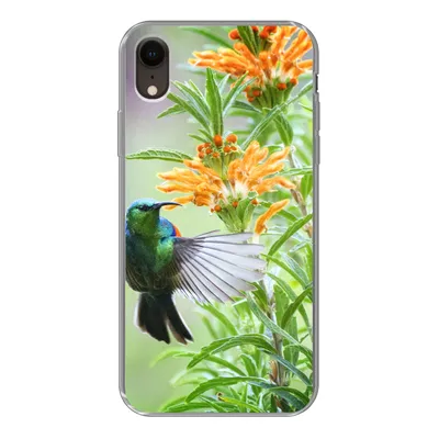 Produktbild von MuchoWow® Handyhülle Schutzhülle Hülle für iPhone XR Nahaufnahme eines bunten Vogels neben Pflanzen mit orangefarbenen Blüten Silikon Softcase Handy Hülle - Schutzdeckel