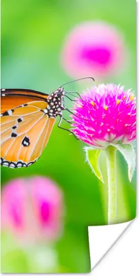 Produktbild von MuchoWow® Poster Landleben - Schmetterling - Distel - Blume 75x150 cm - Dekoration für die Wände
