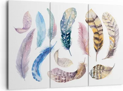 Produktbild von Bild auf Leinwand - Leinwandbild - Federn Vögel Tiere Komposition - 165x110cm - Wand Bild - Wanddeko - Leinwanddruck - Bilder - Kunstdruck - Leinwand bilder - Wandkunst - CE165x110-2894