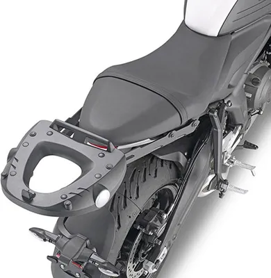 Produktbild von Zentraler Kofferraumträger Triumph Trident 660 '21 (Ohne Platte)