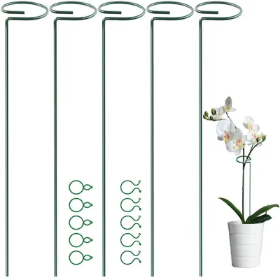 Immagine prodotto di Solidchoice - Pali di supporto per piante da giardino con clip