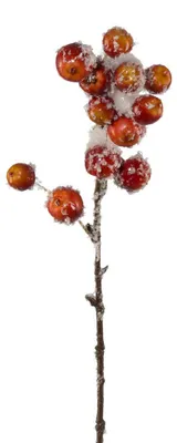 Produktbild von Künstlicher ZIERAPFELZWEIG 43cm. Apfel, Beeren-Zweig mit SCHNEE