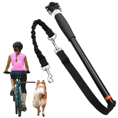 Image de Laisse mains libres pour chiens, idéale pour la course à pied et les promenades