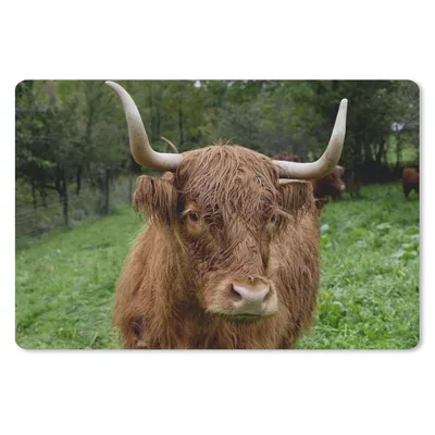Produktbild von MuchoWow® Mauspad Mousepad Schottische Highlander - Tiere - Gras 27x18 cm - Mousepads - Maus Mat - Pad - Mausunterlage - Büroartikel - Desk Matten