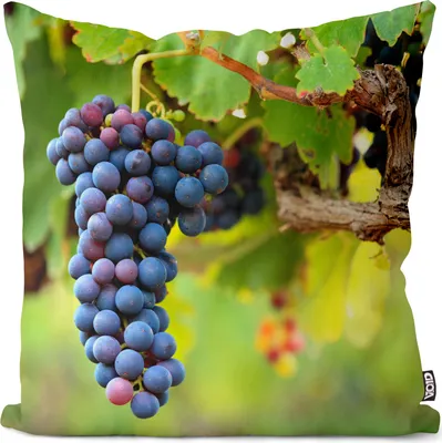 Produktbild von VOID Weinrebe Rotwein Obst Kissenbezug Kissenhülle Sofakissen Kissen Deko Outdoor-Kissen Dekokissen