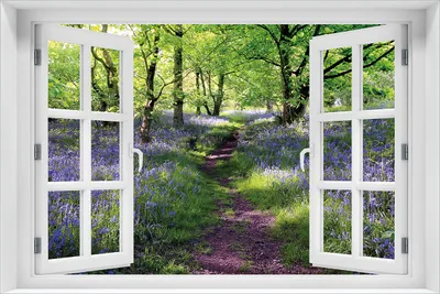 Produktbild von Wallario Poster mit Fenster-Illusion: Blaues Hasenglöckchen im Wald, Größe: 61 x 91,5 cm (Maxiposter)