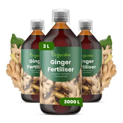 Zdjęcie produktu dla Płynny nawóz do imbiru "Zázvor", 3 x 1 litr – nawóz NPK 2-1-8 – przeznaczony do imbiru – wspomaga silny wzrost i witalność – produkt organiczny