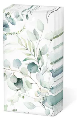 Imagen del producto de Pañuelos desechables con aroma a eucalipto, marca Ambiente, paquete de 10 unidades, tamaño 21,5 x 22 cm