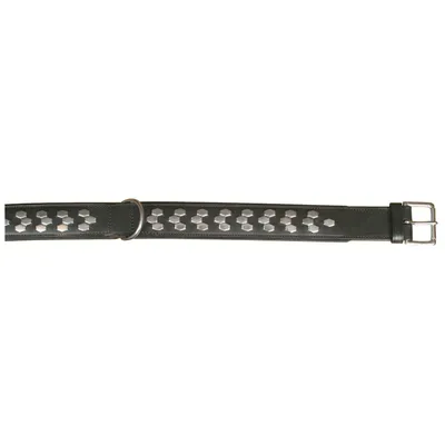 Produktbild von TRIXIE Active Halsband mit Applikationen, Hund, Schwarz, Silber, Leder, Einfarbig, Medium, 38 cm