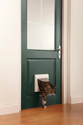 Obrázek produktu pro Staywell Manual Cat Flap Classic - 4 možnosti zavírání - Pro zvířata do 7 kg - Bílá - 22,3 x 22,3 cm
