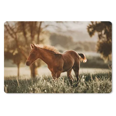 Produktbild von MuchoWow® Schreibtischunterlage Pferd - Licht - Wiese 60x40 cm - XXL Mauspad - Großes Mauspad