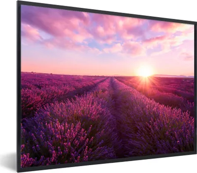 Produktbild von MuchoWow® Gerahmtes Poster Lavendel - Blumen - Frankreich 80x60 cm - Poster mit Schwarzem Bilderrahmen Wandposter Rahmen Foto Bilder - Schwarzem - Mit Gestell