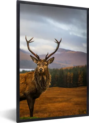 Produktbild von MuchoWow® Gerahmtes Poster Hirsche - Berge - Wasser - Landschaft - Tiere - Bäume 60x90 cm - Poster mit Schwarzem Bilderrahmen Wandposter Rahmen Foto Bilder - Kunst