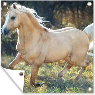 Produktbild von MuchoWow® 50x50 cm Outdoor-Poster Gartendeko Sichtschutz Garten Poster für den Garten  Pferd - Natur - Braun