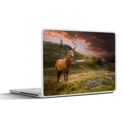 Produktbild von MuchoWow® Laptop Aufkleber Sticker Cover Hirsche - Berge - Natur 30x21 cm - Sticker für Laptop - Selbstklebend