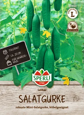 Produktbild von SPERLI Salatgurkensamen Lothar F1 Cucumis sativus 7 Pflanzen