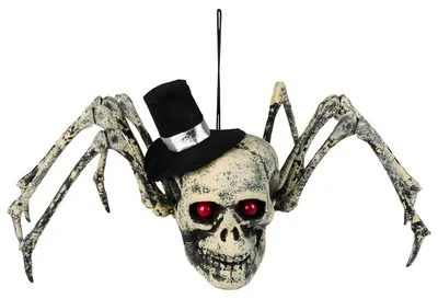 Image de Décoration d'Halloween araignée squelette 23 x 30 cm - taille unique