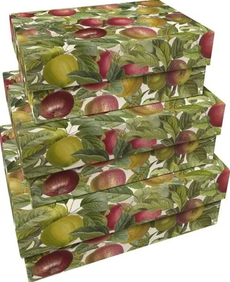 Immagine prodotto di Scatole decorative per alberi di mele 3 pezzi