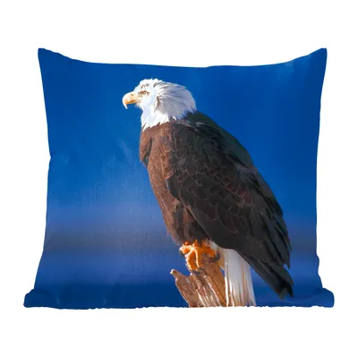 Produktbild von MuchoWow® Zierkissen Sofakissen Wohnzimmer Dekokissen 50x50 cm Adler - Nahaufnahme - Zweig - Komfort - Sofakissen