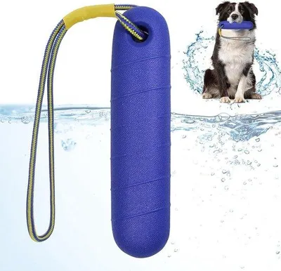 Produktbild von Interaktives Wasserspielzeug für mittelgroße und große Hunde - 22 cm - Trainings- und Apportierspielzeug