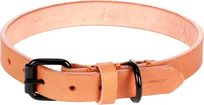 Produktbild von Flamingo Halsband Leano cognac, Maße: 36 - 44 cm / 20 mm