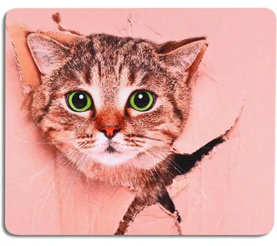 Produktbild von Mauspad Katze Lustig Gaming 240 x 200 mm Rutschfeste Unterseite