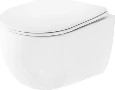 Produktbild von Rea WC Schüssel Randlos Olivier