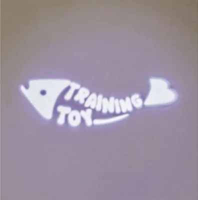 Zdjęcie produktu dla LED Pointer Catch the Light, Fisch 8 cm grau