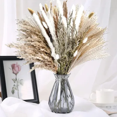 Produktbild von 85 Stück Pampasgras, Dekoration, rein natürlich, zum Basteln, Trockenblumen, Bouquet, Vase für Pampasgras, ideal für Boho-Wohnzimmer