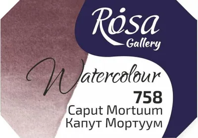 Zdjęcie produktu dla Rosa 343758 Farba akwarelowa 758 Caput Mortuum 2,5 ml 1 szt.