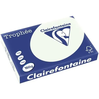 Immagine prodotto di Clairefontaine 1143C  Clairefontaine Multifunktionspapier, DIN A3, lindgrün