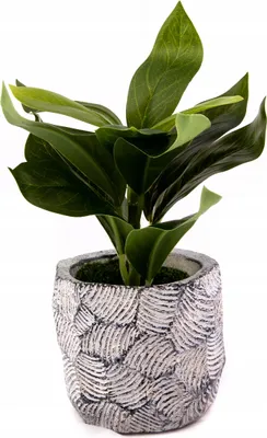 Produktbild von Künstlicher Philodendron im Topf 29cm - Realistische Kunstpflanze Deko Wohnzimmer Büro