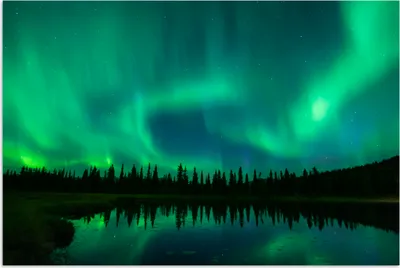 Produktbild von MuchoWow® Poster Nordlicht - Bäume - Wasser - Alaska 180x120 cm - Fotoplakat
