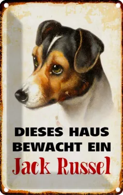 Produktbild von vianmo Blechschild 30x20 cm Hund dieses Haus bewacht Jack Russel Tier Haustier