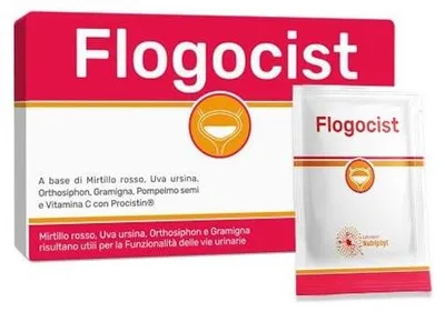 Produktbild von Flogocist 10 Beutel