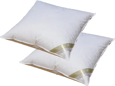 Produktbild von 2 Stück Betten Hofmann Canada Federkissen Kopfkissen 80x80 cm 950 g waschbar 15% Daunen