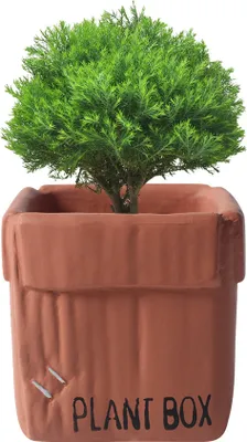 Image de Boîte en carton créative Design Ciment Planteur Urnes, Planteur Pour Plantes d'Intérieur Fleur Succulentes Pots(Rouge,12cm)