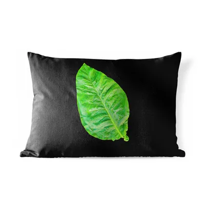 Obrázek produktu pro MuchoWow® Vnější polštář - Zelený list na černém pozadí -60x40 cm- Odolnost proti povětrnostním vlivům - polštář do obývacího pokoje